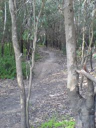 BMX jumps in billabong