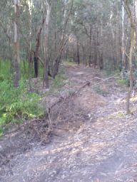 BMX jumps in billabong partially demolished