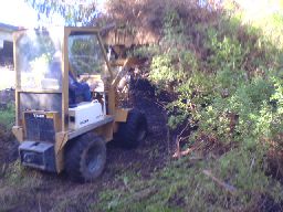 Chris Cross garden supplies owner with front end loader attacking the boxthorn