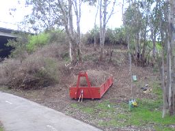 skip filled with some of the boxthorn