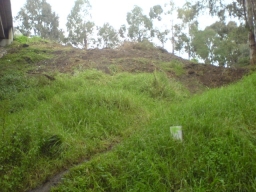 Slope cleared of boxthorn