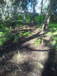 Weeded picnic area garden