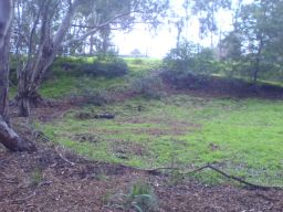 Weeded picnic area garden