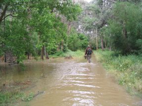 walking along the bike path 