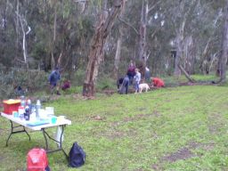 weeding after morning tea