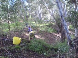 weeding and mulching