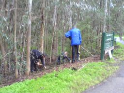 weeding, planting and mulching