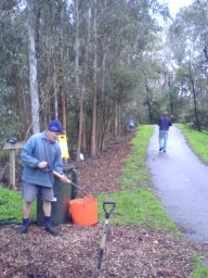 weeding, planting and mulching