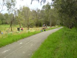 planting area