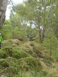 Telstra volunteers disposing of weeds