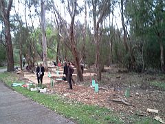 RMIT students planting