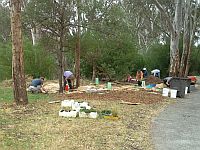 planting 14/10/14