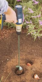 Bulb auger
