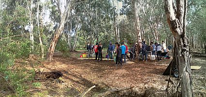 spreading mulch