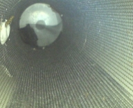 the first bat at the top of a tube