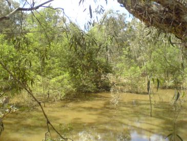 the billabong in 2010