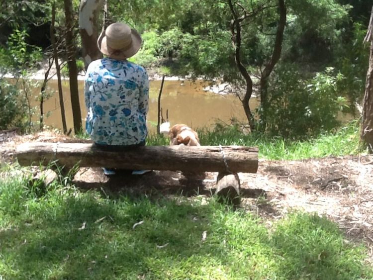 Overlooking the Yarra river