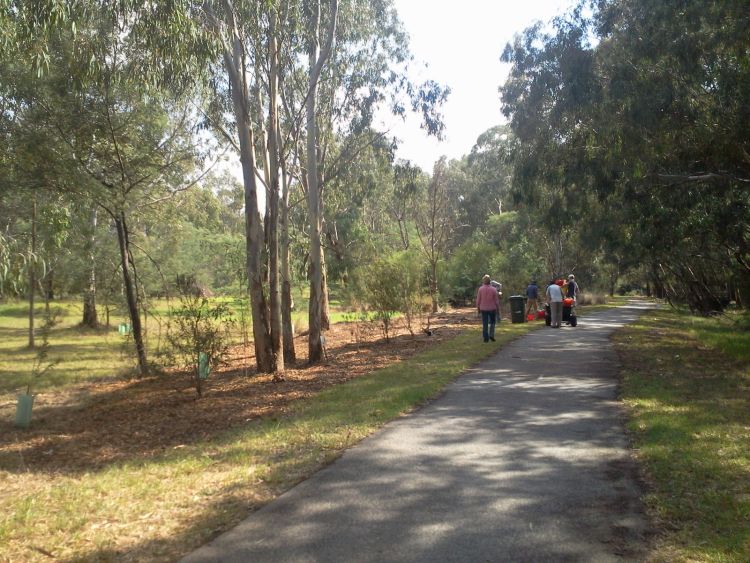 planting beside the trail