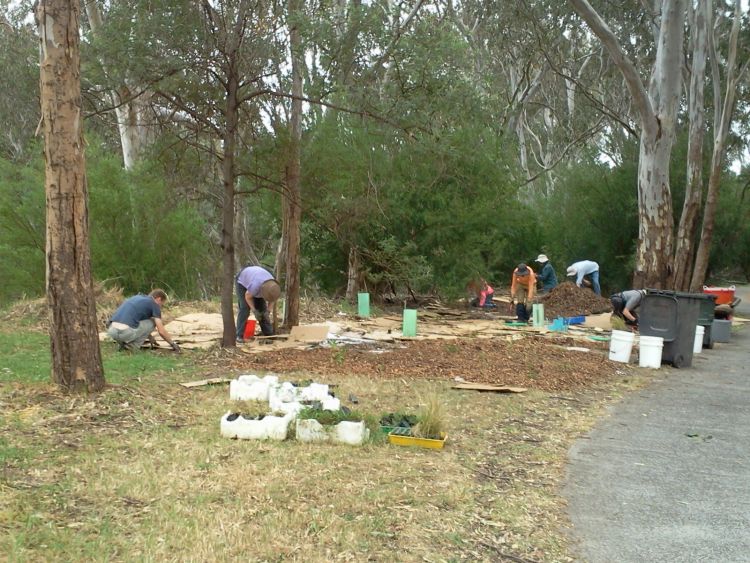 planting near the river