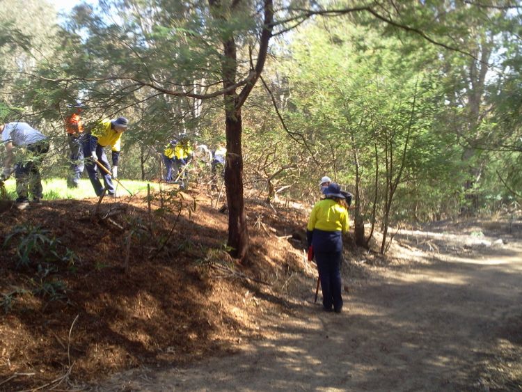 Boroondara's Green Army