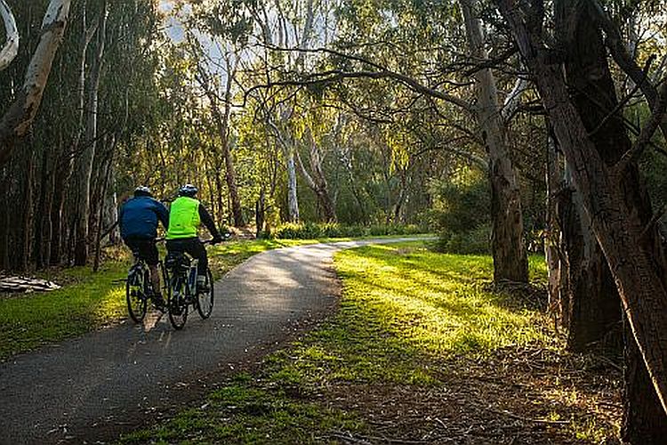 Cyclists on the Yarra trail